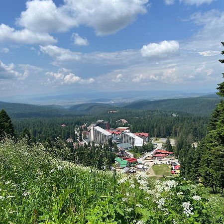 Apartament Arboro Borovets Gardens E68 Zewnętrze zdjęcie