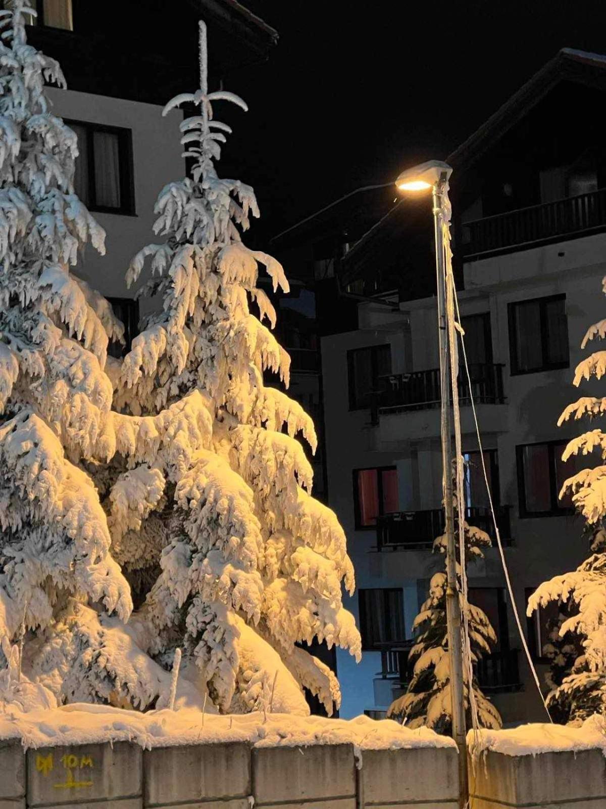 Apartament Arboro Borovets Gardens E68 Zewnętrze zdjęcie