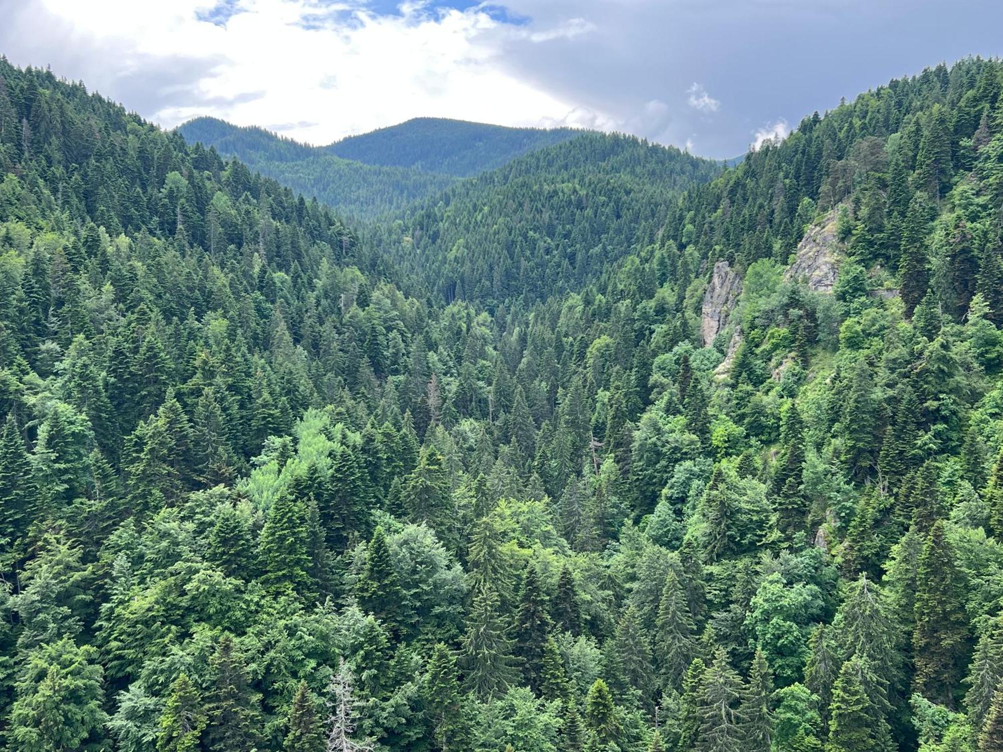 Apartament Arboro Borovets Gardens E68 Zewnętrze zdjęcie