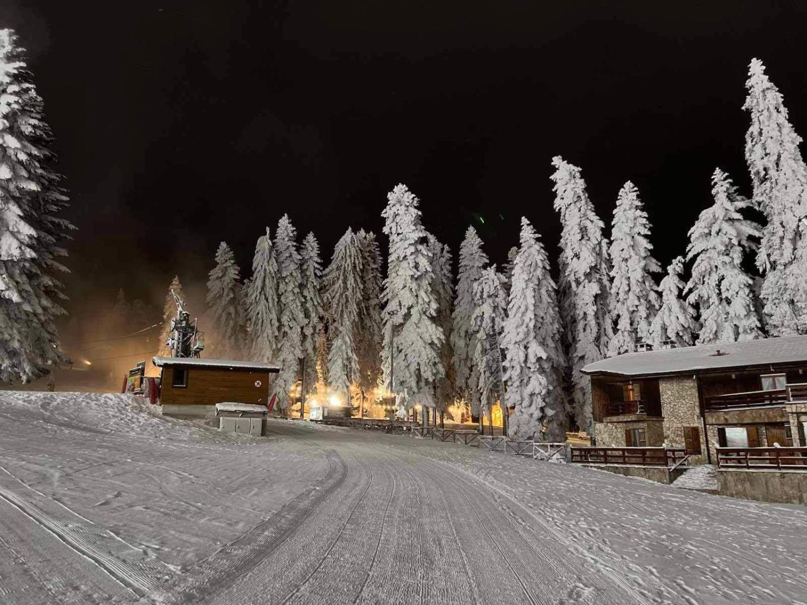 Apartament Arboro Borovets Gardens E68 Zewnętrze zdjęcie