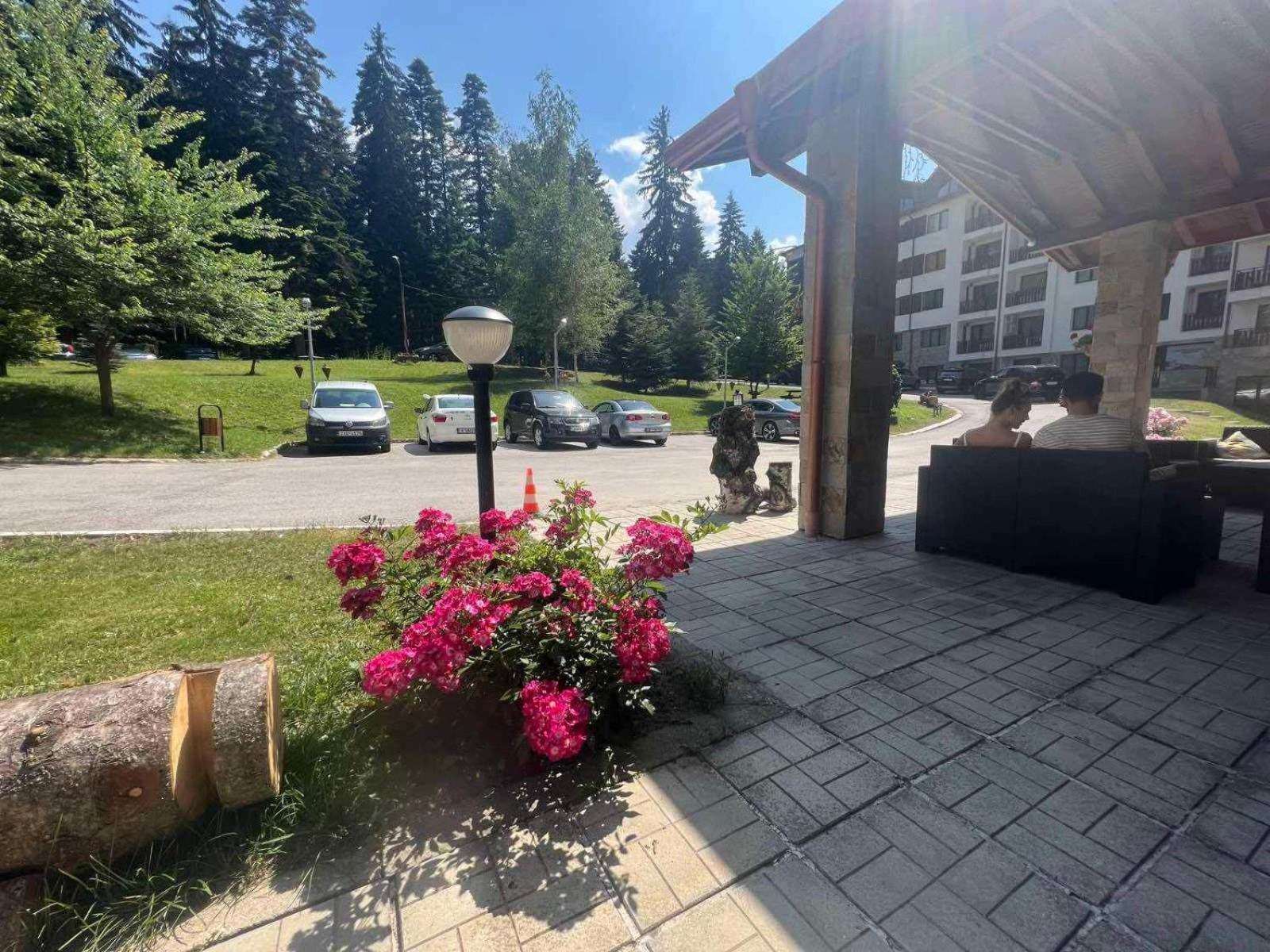 Apartament Arboro Borovets Gardens E68 Zewnętrze zdjęcie