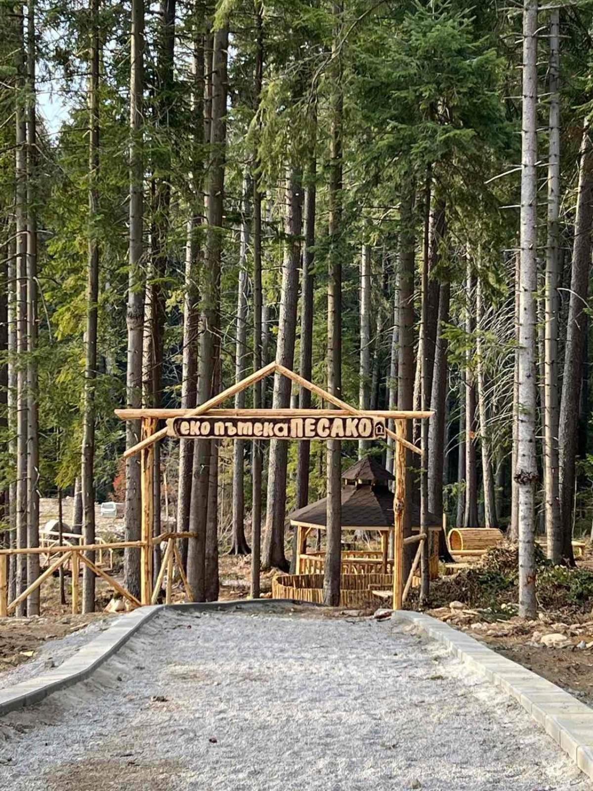 Apartament Arboro Borovets Gardens E68 Zewnętrze zdjęcie