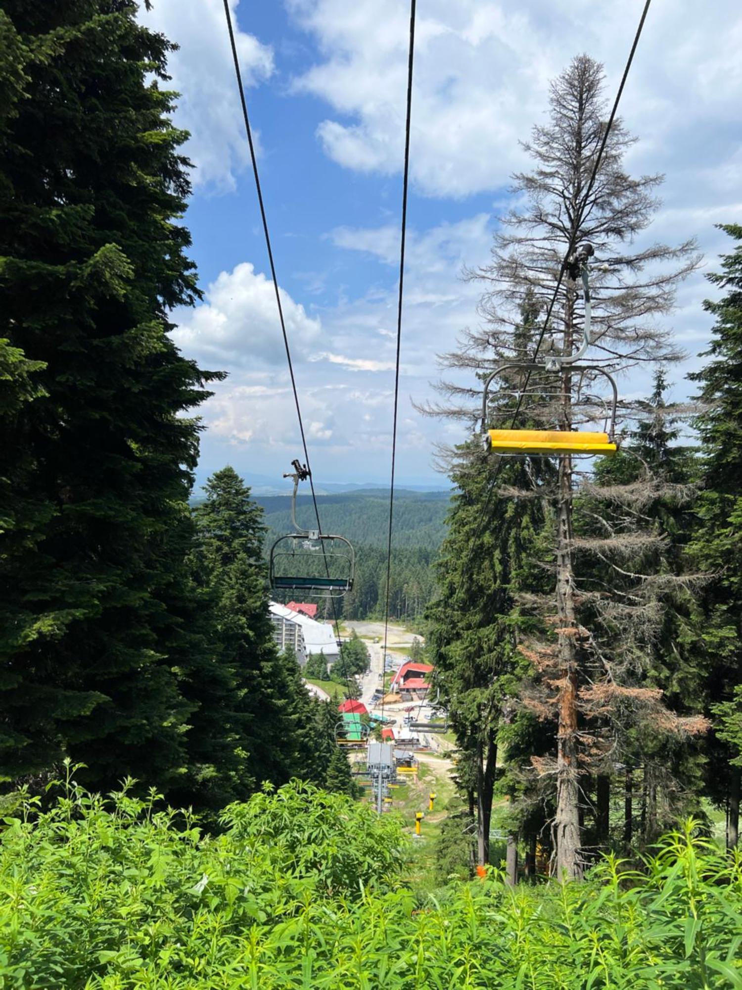 Apartament Arboro Borovets Gardens E68 Zewnętrze zdjęcie