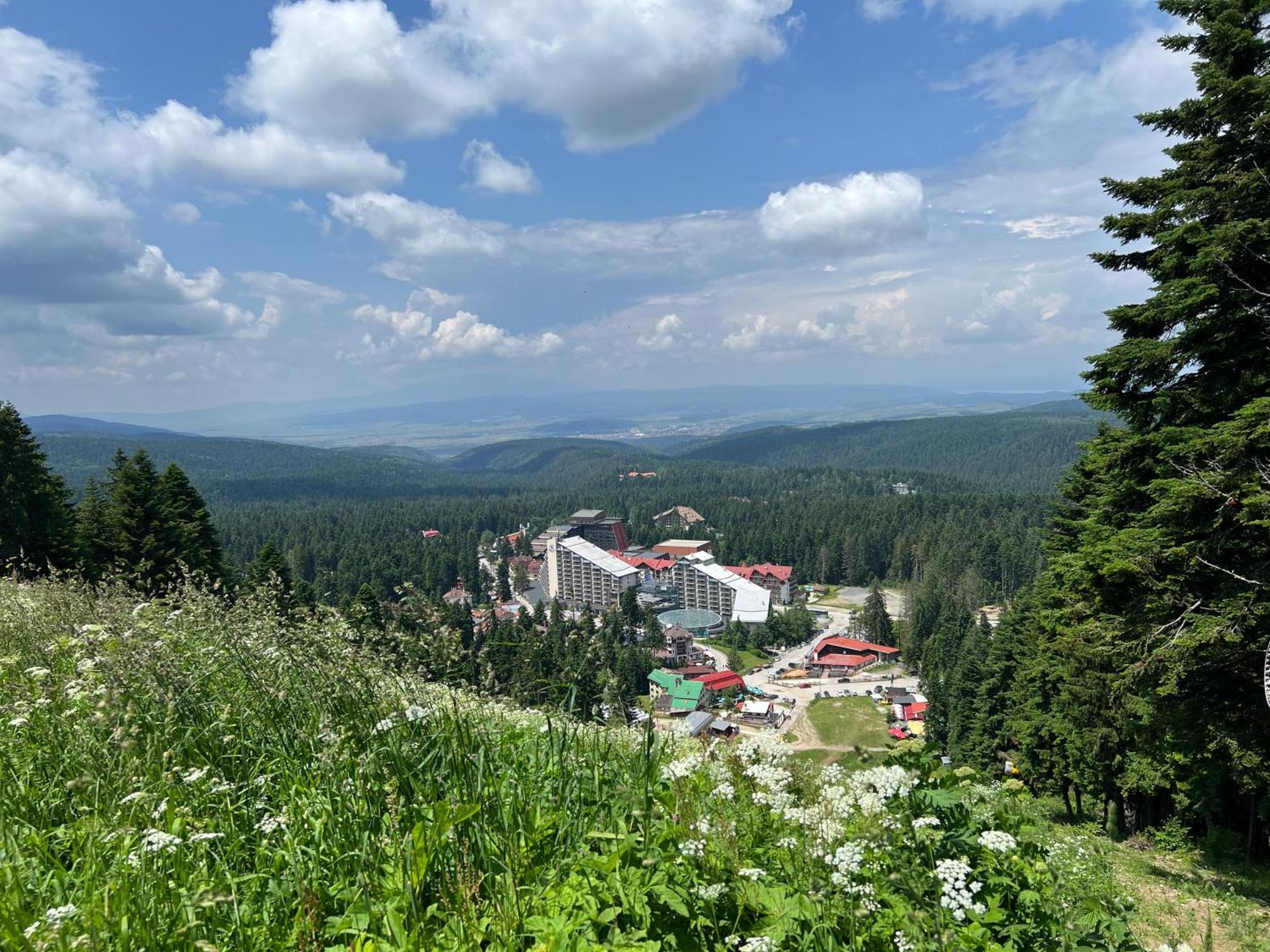 Apartament Arboro Borovets Gardens E68 Zewnętrze zdjęcie